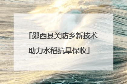 郧西县关防乡新技术助力水稻抗旱保收