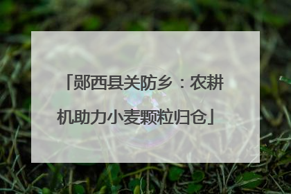 郧西县关防乡：农耕机助力小麦颗粒归仓