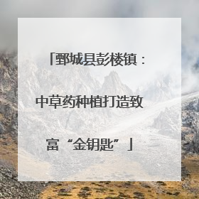 鄄城县彭楼镇：中草药种植打造致富“金钥匙”