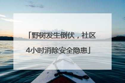 野树发生倒伏，社区4小时消除安全隐患