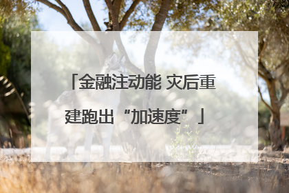 金融注动能 灾后重建跑出“加速度”