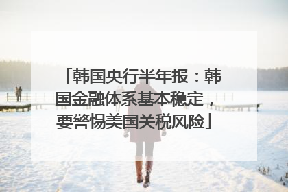 韩国央行半年报：韩国金融体系基本稳定，要警惕美国关税风险