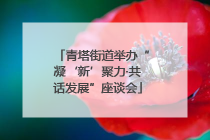 青塔街道举办“凝‘新’聚力·共话发展”座谈会