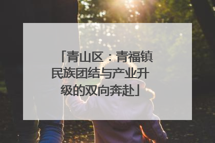 青山区：青福镇民族团结与产业升级的双向奔赴