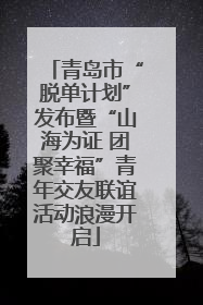 青岛市“脱单计划”发布暨“山海为证 团聚幸福”青年交友联谊活动浪漫开启