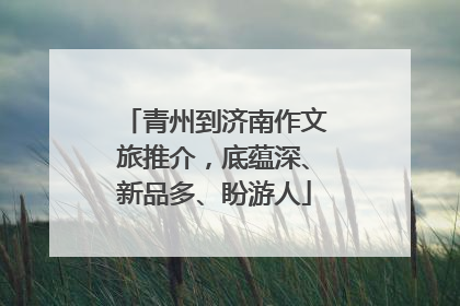 青州到济南作文旅推介，底蕴深、新品多、盼游人