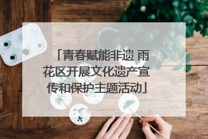 青春赋能非遗 雨花区开展文化遗产宣传和保护主题活动