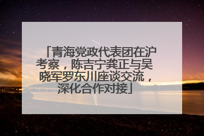 青海党政代表团在沪考察，陈吉宁龚正与吴晓军罗东川座谈交流，深化合作对接