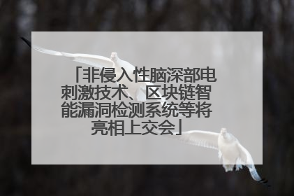 非侵入性脑深部电刺激技术、区块链智能漏洞检测系统等将亮相上交会