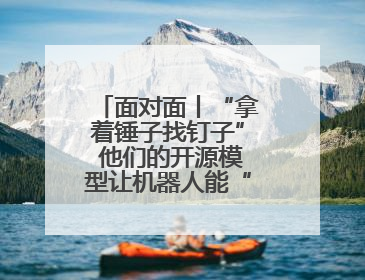 面对面丨“拿着锤子找钉子” 他们的开源模型让机器人能“上学”了