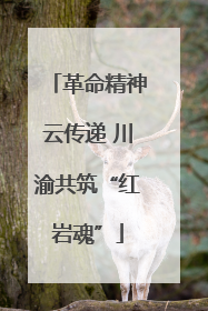 革命精神云传递 川渝共筑“红岩魂”