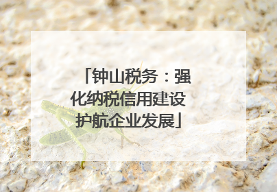 钟山税务：强化纳税信用建设护航企业发展