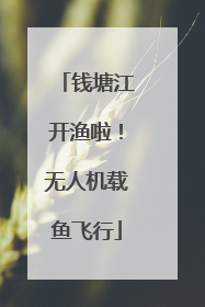 钱塘江开渔啦！无人机载鱼飞行