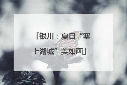 银川：夏日“塞上湖城”美如画