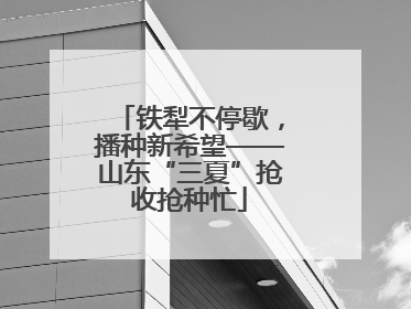 铁犁不停歇，播种新希望——山东“三夏”抢收抢种忙