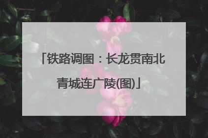 铁路调图：长龙贯南北 青城连广陵(图)