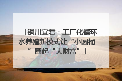 铜川宜君：工厂化循环水养殖新模式让“小圆桶”圈起“大财富”