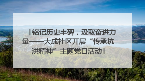 铭记历史丰碑，汲取奋进力量——大成社区开展“传承抗洪精神”主题党日活动