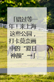 错过等一年！来上海这些公园，打卡莫奈画中的“夏日神颜”→