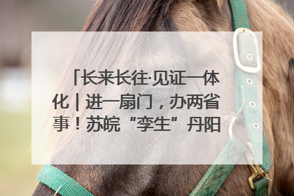 长来长往·见证一体化｜进一扇门，办两省事！苏皖“孪生”丹阳如何做到的？