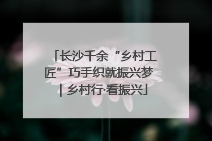 长沙千余“乡村工匠”巧手织就振兴梦｜乡村行·看振兴