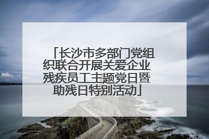 长沙市多部门党组织联合开展关爱企业残疾员工主题党日暨助残日特别活动