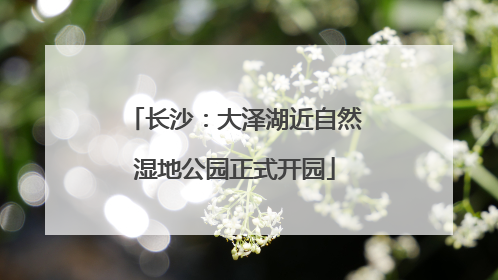 长沙：大泽湖近自然湿地公园正式开园
