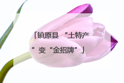 镇原县 “土特产”变“金招牌”
