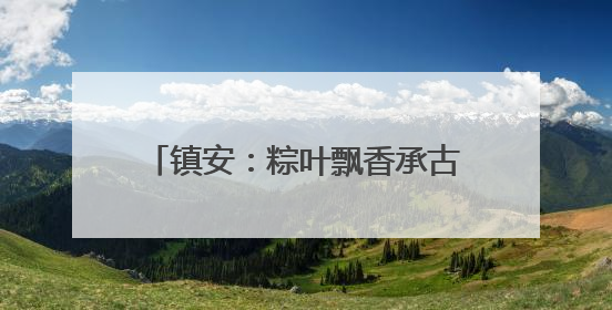 镇安：粽叶飘香承古韵 志愿传情暖端午