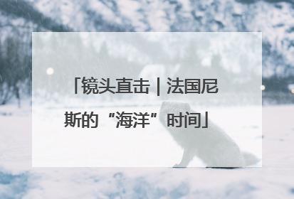 镜头直击｜法国尼斯的“海洋”时间