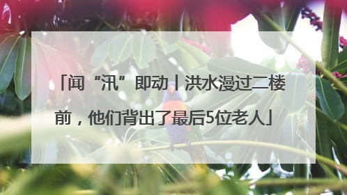 闻“汛”即动丨洪水漫过二楼前，他们背出了最后5位老人
