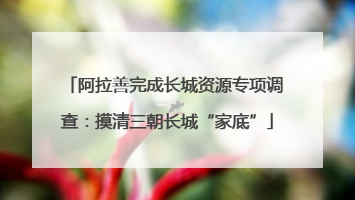 阿拉善完成长城资源专项调查：摸清三朝长城“家底”