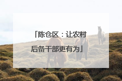 陈仓区：让农村后备干部更有为