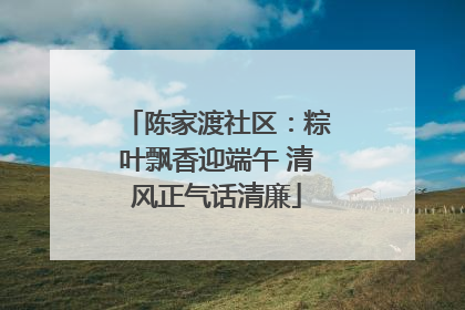陈家渡社区：粽叶飘香迎端午 清风正气话清廉