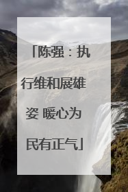 陈强：执行维和展雄姿 暖心为民有正气