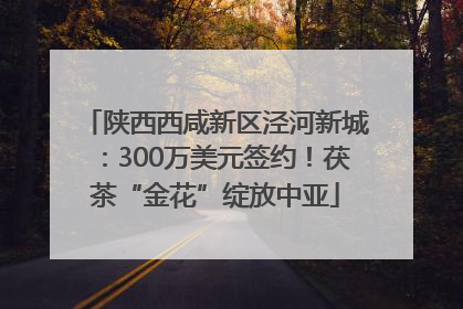 陕西西咸新区泾河新城：300万美元签约！茯茶“金花”绽放中亚