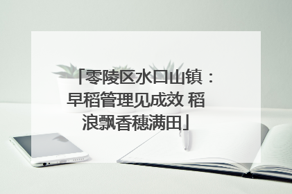 零陵区水口山镇：早稻管理见成效 稻浪飘香穗满田
