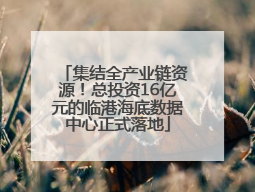集结全产业链资源！总投资16亿元的临港海底数据中心正式落地