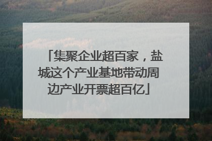 集聚企业超百家，盐城这个产业基地带动周边产业开票超百亿