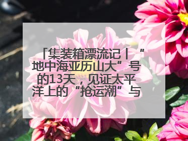 集装箱漂流记丨“地中海亚历山大”号的13天，见证太平洋上的“抢运潮”与“过剩潮”