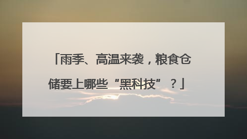雨季、高温来袭，粮食仓储要上哪些“黑科技”？