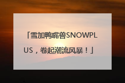 雪加鸭嘴兽SNOWPLUS，卷起潮流风暴！