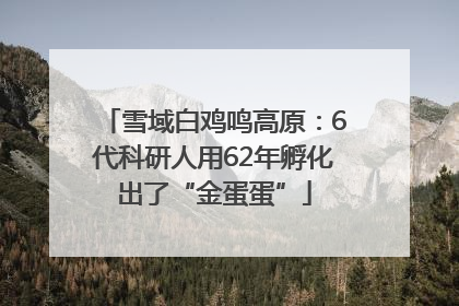 雪域白鸡鸣高原：6代科研人用62年孵化出了“金蛋蛋”
