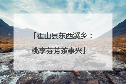 霍山县东西溪乡：桃李芬芳茶事兴
