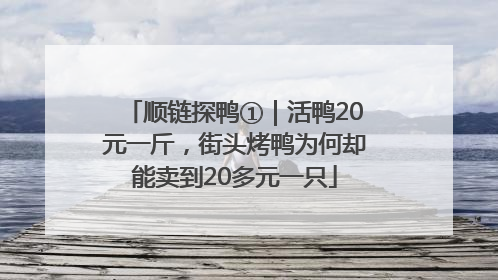 顺链探鸭①｜活鸭20元一斤，街头烤鸭为何却能卖到20多元一只