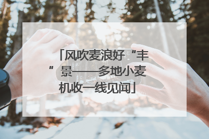 风吹麦浪好“丰”景——多地小麦机收一线见闻