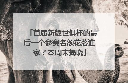 首届新版世俱杯的最后一个参赛名额花落谁家？本周末揭晓