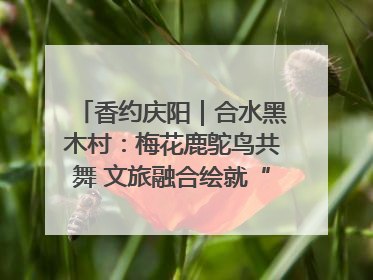 香约庆阳｜合水黑木村：梅花鹿鸵鸟共舞 文旅融合绘就“诗与远方”