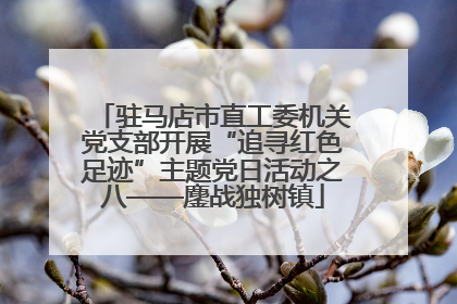 驻马店市直工委机关党支部开展“追寻红色足迹”主题党日活动之八——鏖战独树镇