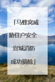 马蜂窝威胁住户安全 宣城消防成功摘除
